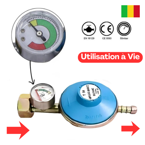 DETENDEUR DE GAZ AVEC MANOMETRE DE SECURITE - GAZ-CONTROL